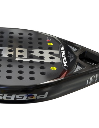 Siux Pegasus Graphène 1K |SIUX |Raquettes de padel Siux