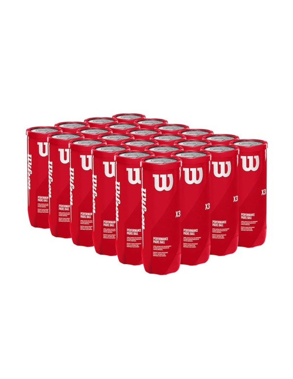 Caixa com 24 latas de bola Wilson Padel X3 |WILSON |Bolas de padel