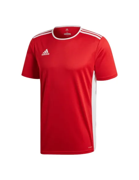 Camiseta Adidas Cd8438 |ADIDAS |Abbigliamento da padel ADIDAS
