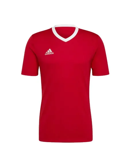 Camiseta Adidas Ent22 H61736 |ADIDAS |Ropa de pádel ADIDAS