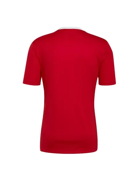 Adidas Ent22 T-shirt H61736 |ADIDAS |Vêtements de padel ADIDAS