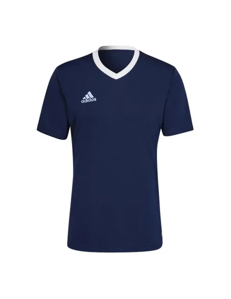 Camiseta Adidas Ent22 H61736 |ADIDAS |Ropa de pádel ADIDAS