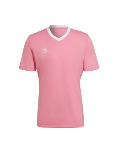 Camiseta Adidas Ent22 H61736 |ADIDAS |Ropa de pádel ADIDAS