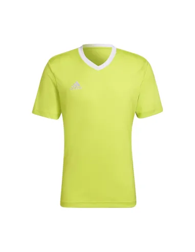 Camiseta Adidas Ent22 H61736 |ADIDAS |Ropa de pádel ADIDAS