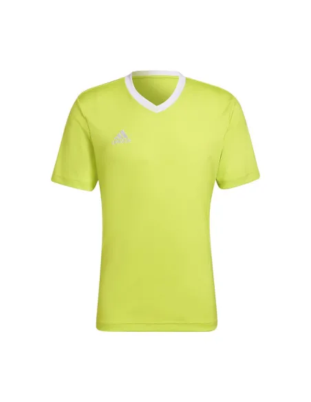 Maglietta Adidas Ent22 H61736 |ADIDAS |Abbigliamento da padel ADIDAS