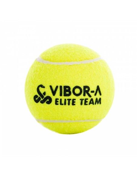 Bote 3 Bolas Head Frontenis Amarilla |HEAD |Pelotas de pádel Bote 3 Bolas Head Frontenis Amarilla |HEAD |Pelotas de pádel