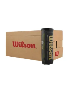 Cajón 24 Botes Bolas Wilson Premier Padel Speed |WILSON |Cajones