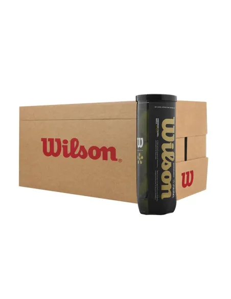 Cajón 24 Botes Bolas Wilson Premier Padel Speed |WILSON |Cajones