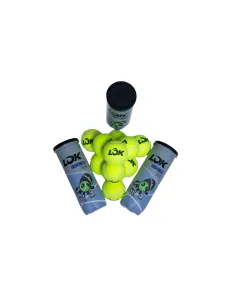 Boîte de boules SNP Lok Fresh Balls |LOK |Cartons 2