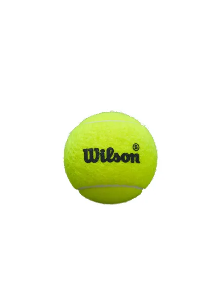 Pallina da padel Wilson Premier |WILSON |Accessori per padel Pallina da padel Wilson Premier |WILSON |Accessori per padel