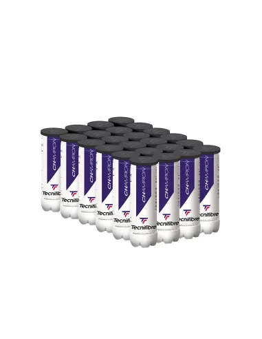 Scatola da 36 lattine da 3 palline Tecnifibre Champion |TECNIFIBRE |Scatole