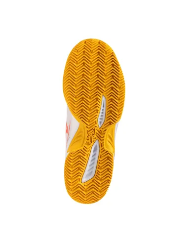 Shoes Mizuno Break Shot 5 CC 61GC2525 60 |MIZUNO |Padel shoes