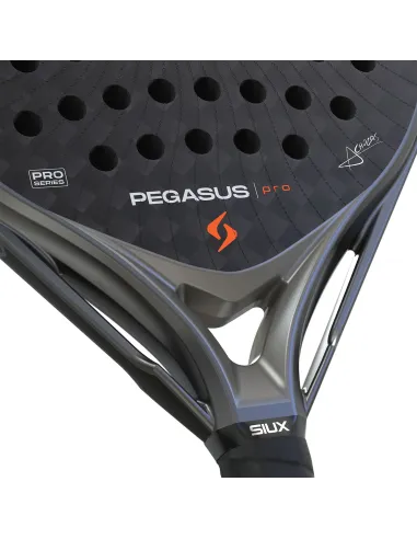 Siux Pegasus Pro 2026 Storm Grigio |SIUX |